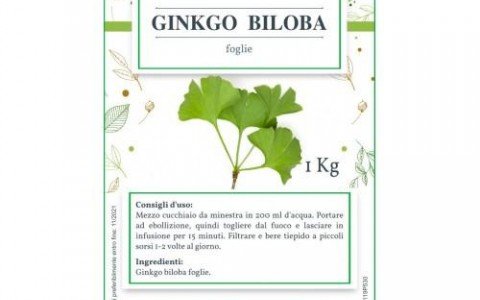 Piante officinali che migliorano la memoria Piante officinali che migliorano la memoria