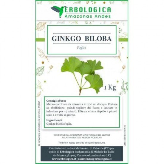 Ginkgo Biloba foglie tisana 1 kg Ginkgo Biloba foglie tisana 1 kg