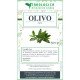 Olivo foglie tisana Olivo foglie tisana