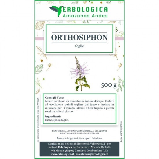 Orthosiphon leaves herbal tea cut