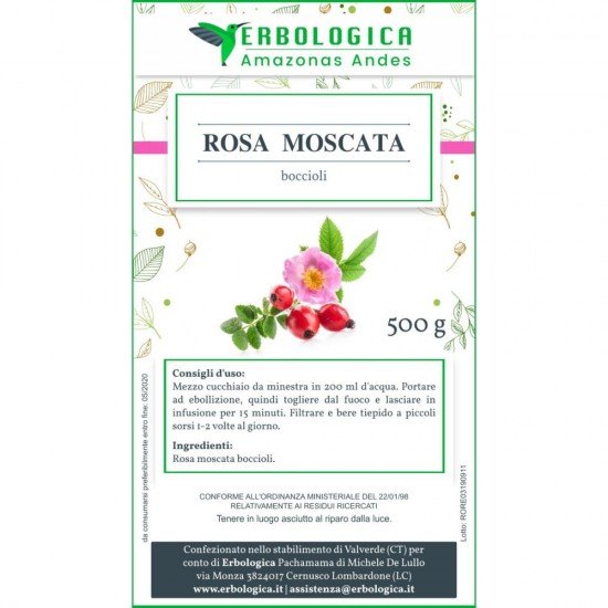 Rosa moscata boccioli Rosa moscata boccioli