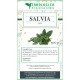 Salvia officinale taglio tisana Salvia officinale taglio tisana