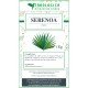 Serenoa frutti taglio tisana 1 kg