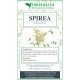 Spirea Ulmaria herbal tea 1 kg