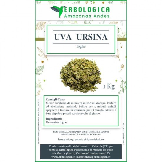 Uva ursina foglie taglio tisana 1 kg Uva ursina foglie taglio tisana 1 kg