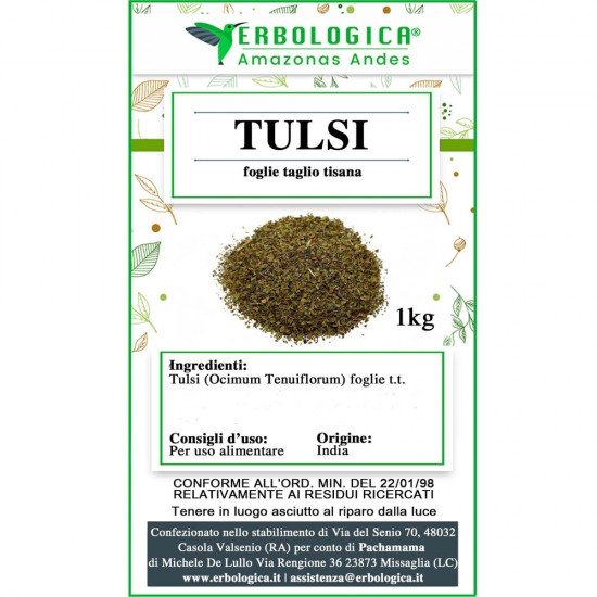 Tulsi foglie basilico santo taglio tisana Tulsi foglie basilico santo taglio tisana
