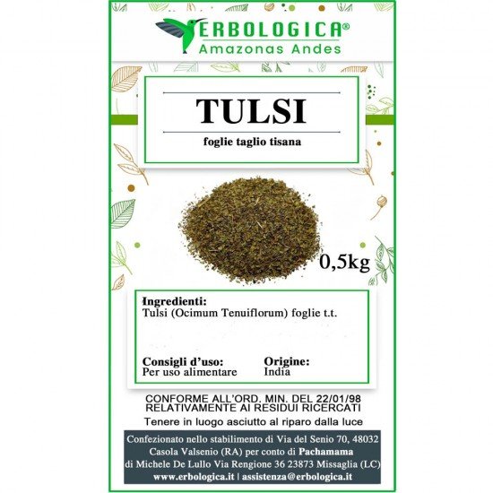 Tulsi foglie basilico santo taglio tisana Tulsi foglie basilico santo taglio tisana