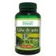 Uncaria tomentosa estratto in capsule Uncaria tomentosa estratto in capsule