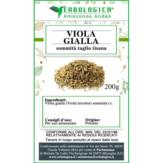 Viola gialla sommità taglio tisana Viola gialla sommità taglio tisana
