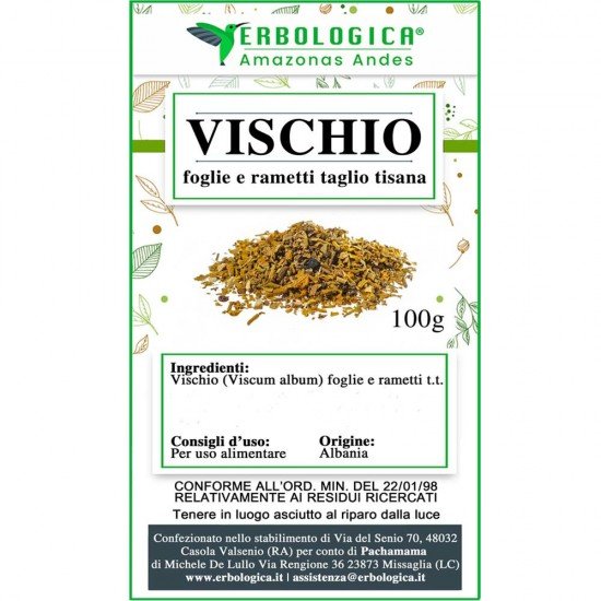 Vischio foglie e rametti taglio tisana Vischio foglie e rametti taglio tisana